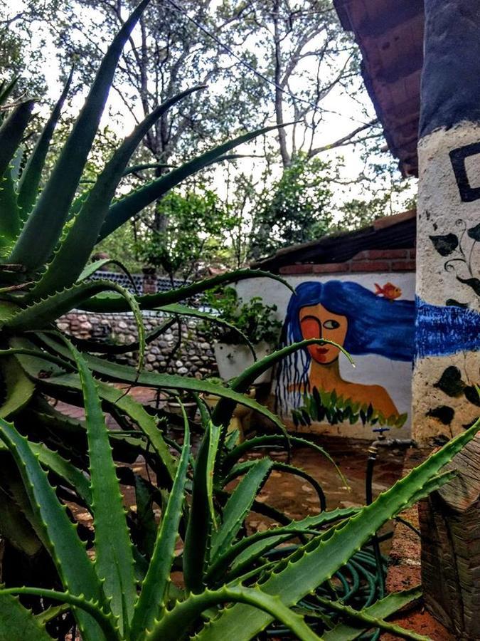 Cabana 5 Tierras Guanajuato